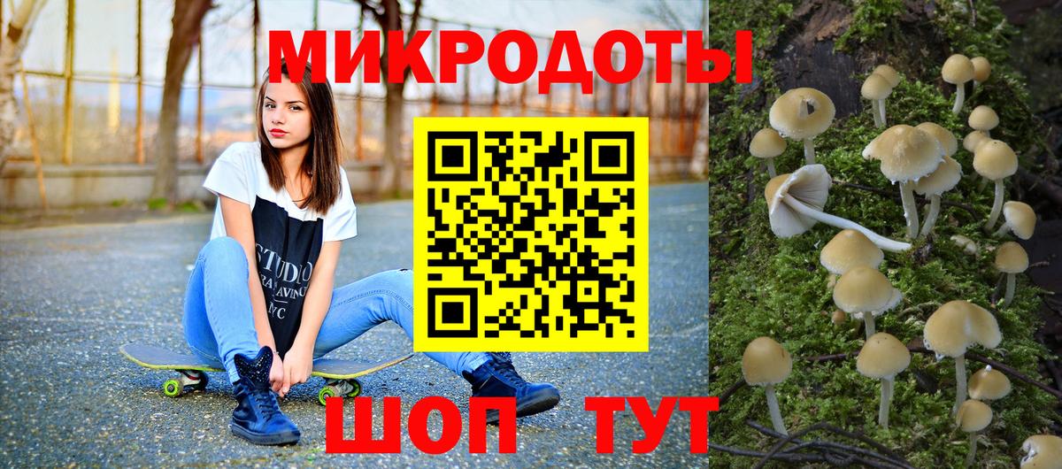 Псилоцибиновые грибы Psilocybine cubensis Мыски