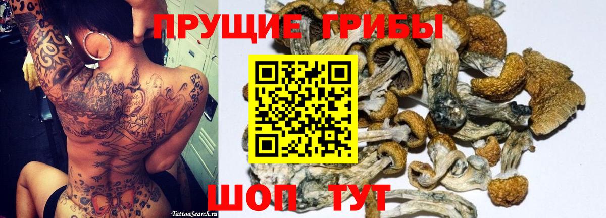 Псилоцибиновые грибы Cubensis  Вход с VPN  Мыски  Галлюциногенные грибы Cubensis 